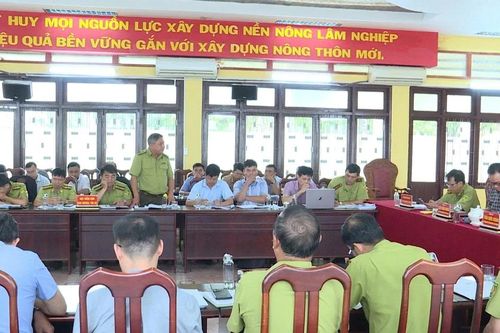 Gia Lai phát hiện, xử lý 95 vụ vi phạm Luật Lâm nghiệp