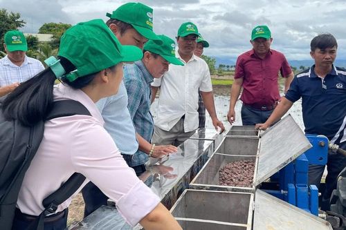 Hội thảo ứng dụng kỹ thuật dúi phân viên nén cho cây lúa tại huyện Ia Pa
