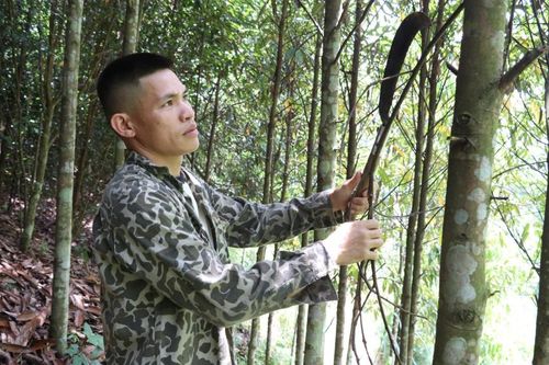 Đổi thay ở Thiện Hòa