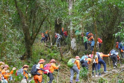 Tăng cường quảng bá tuyến du lịch chinh phục đỉnh Fansipan