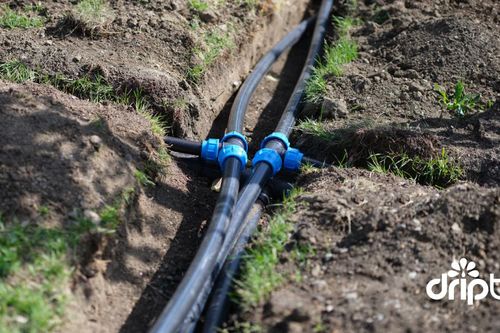 Ống HDPE – Giải pháp tưới tiêu thông minh cho nông nghiệp hiện đại