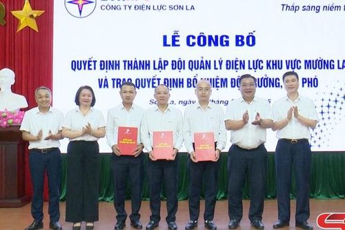 Thành lập Đội quản lý điện lực khu vực Mường La