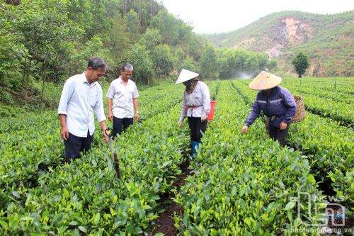 Gương sáng một bí thư chi bộ