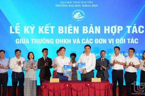 Trường Đại học Khoa học công bố 5 chương trình đào tạo mới