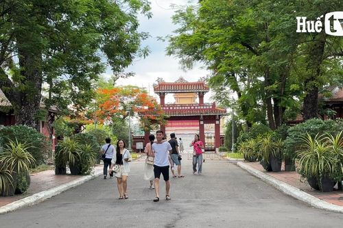 Quốc Học ngày càng 'hot'