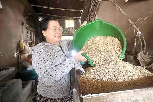 Năng động trong phát triển kinh tế và công tác hội