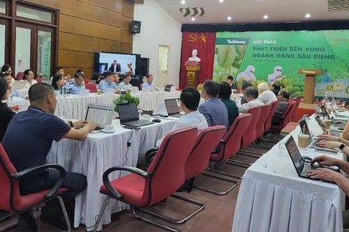 Ngành sầu riêng tỷ đô đứng trước nguy cơ sụp đổ nếu không thay đổi