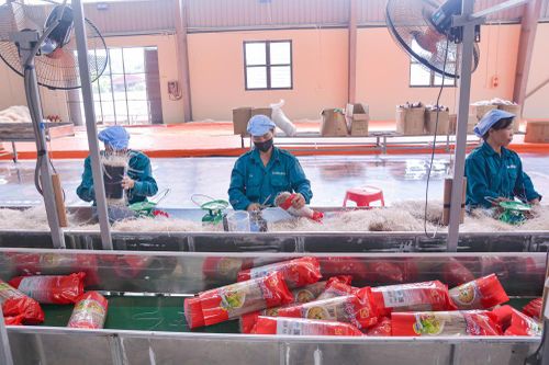Công nghệ giúp HTX tối ưu chi phí, nâng tầm đặc sản