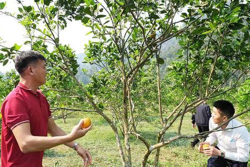 Khi người dân tộc thiểu số ở Sìn Hồ làm chủ công nghệ, thương mại điện tử để thoát nghèo