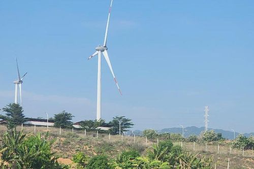 Cận cảnh cánh đồng điện gió ở Ninh Thuận