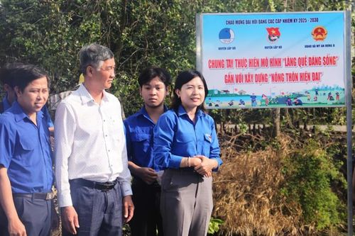 Tỉnh đoàn Đồng Tháp tích cực đưa chiến dịch Bình dân học vụ số vào chiều sâu và bền vững