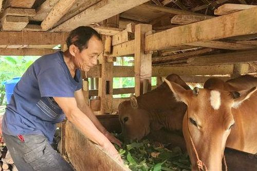 Cao Bằng: Hơn 69.000 hộ dân được hỗ trợ phát triển sản xuất theo chuỗi giá trị