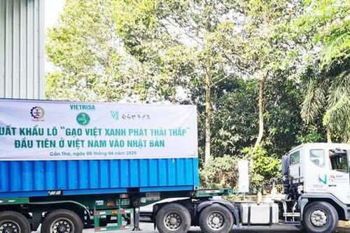 Tư duy 'xanh' cho xuất khẩu gạo