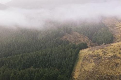Chính phủ New Zealand bị kiện vì kế hoạch giảm phát thải