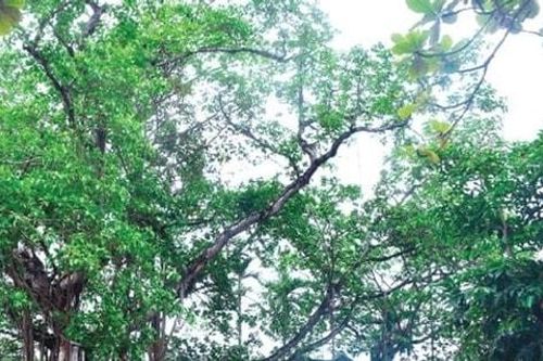 Hà Nội xếp hạng 9 di tích lịch sử - văn hóa cấp thành phố