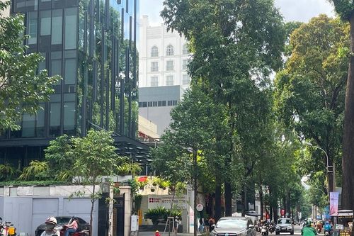 TP Hồ Chí Minh cấm nhiều tuyến đường phục vụ giải chạy 'Tự hào thành phố tôi yêu'