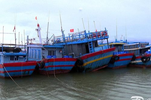 Quảng Nam: Kêu gọi tàu thuyền khẩn trương di chuyển tránh bão số 1