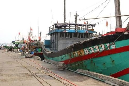 Huế: kịp thời thông báo tàu, thuyền đến nơi neo đậu an toàn tránh bão