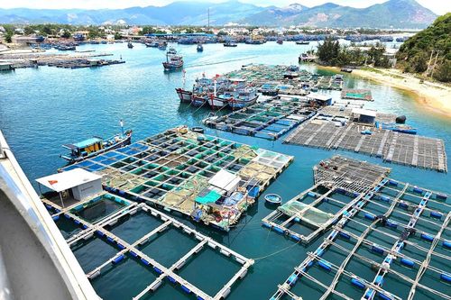 Lập quy hoạch khu đô thị, du lịch và bến siêu du thuyền 5.200 ha tại Đề Gi