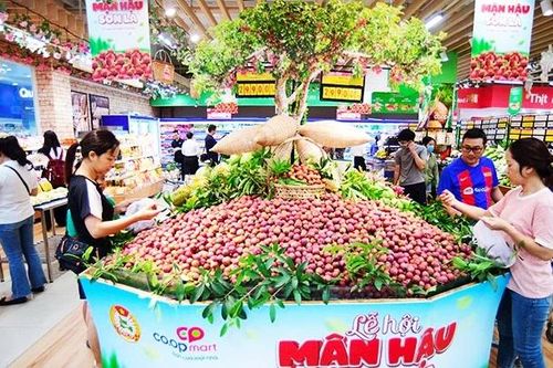 Nâng tầm hàng Việt bằng giá trị xanh