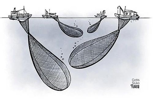 Giải pháp lâu dài
