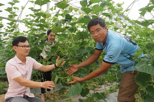 Điểm sáng từ những mô hình nông nghiệp sạch
