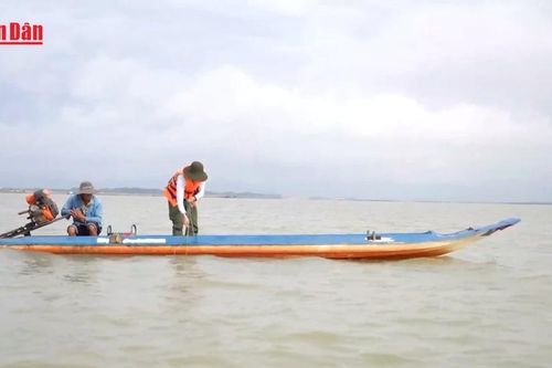 Kiểm tra chất lượng nước hồ Dầu Tiếng