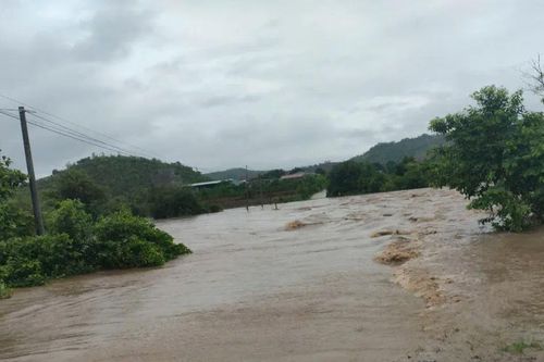 Mưa lớn làm ngập ngầm tràn, 319 hộ dân bị cô lập hoàn toàn