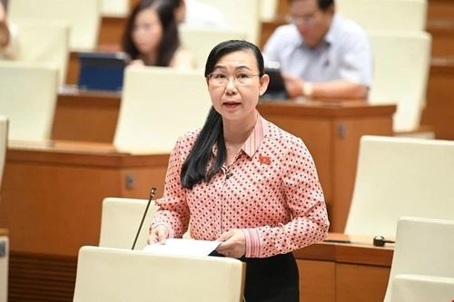 Đại biểu Quốc hội đề xuất 'giải cứu' tang vật, tránh hư hỏng, lãng phí