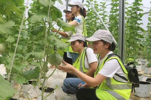 Khai mở 'kho báu' du lịch nông thôn ở Bắc Ninh