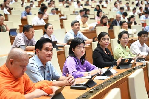 Đại biểu Quốc hội đề xuất giải pháp xử lý tang vật vi phạm hành chính