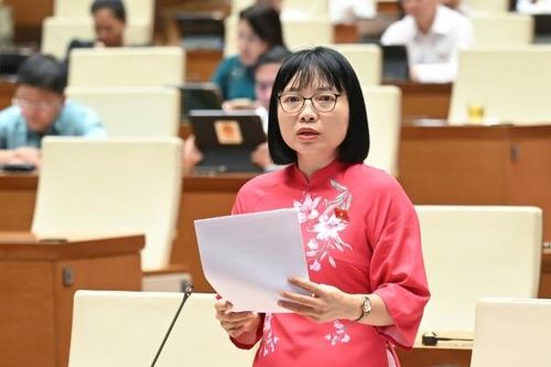 Tăng mức phạt hành chính cần dựa trên thực tế thu nhập của người dân