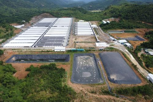 Trang trại lợn ở Thanh Hóa tiếp tục phát tán mùi hôi thối dù có cấp phép