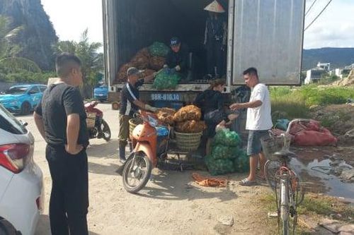 Gia đình nuôi hàu sữa Quảng Ninh đối diện nguy cơ mất mùa từ điều không tưởng