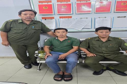 Bắt giữ đối tượng truy nã đặc biệt về hành vi 'Lừa đảo chiếm đoạt tài sản'