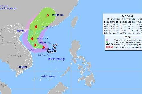 Bão số 1 hiện ở quần đảo Hoàng Sa, đạt cường độ cực đại vào ngày nào?