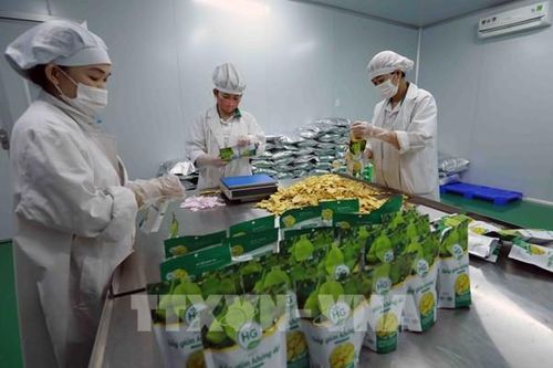 Nhiều tín hiệu tích cực tạo đà cho tăng trưởng kinh tế