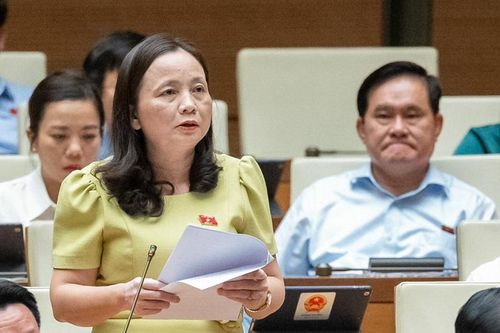 ĐBQH Cầm Thị Mẫn (Đoàn ĐBQH Thanh Hóa) đề nghị làm rõ thế nào là khu vực nội thành và khu vực không phải nội thành
