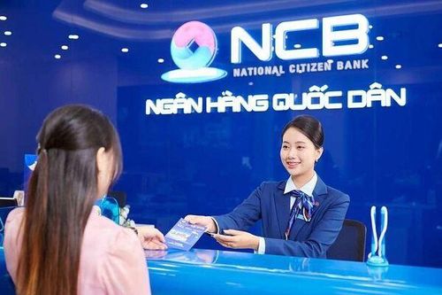 Lộ diện 17 nhà đầu tư đăng ký mua 750 triệu cổ phiếu NCB chào bán riêng lẻ