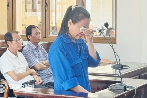Lừa đảo chiếm đoạt tiền tỷ, trả giá đắt…