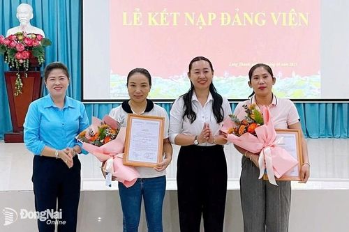 Khắp nơi trong tỉnh ngày 11-6-2025