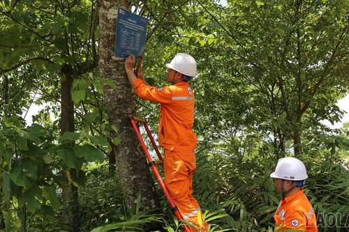 Tăng cường công tác bảo đảm hành lang an toàn lưới điện