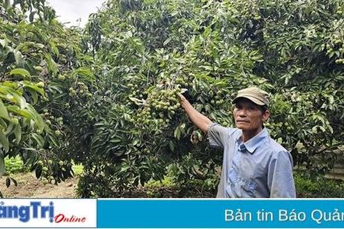 Lão nông đam mê với cây ăn quả