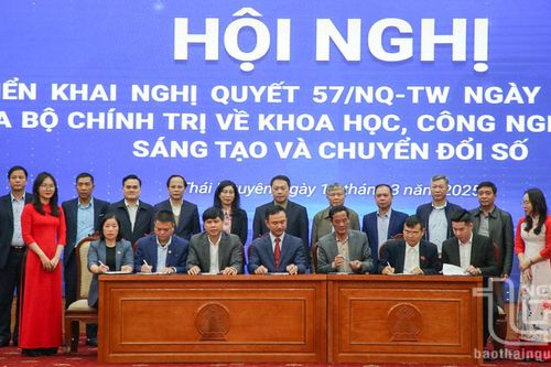 Phát huy tối đa tiềm năng, lợi thế sau hợp nhất