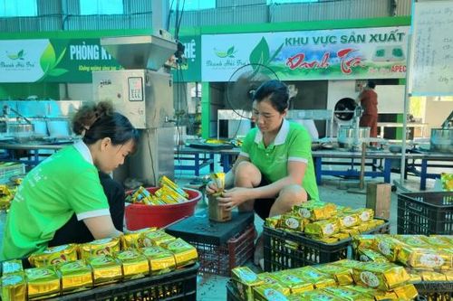 Thái Nguyên: Phát huy hiệu quả của các mô hình liên kết sản xuất - tiêu thụ
