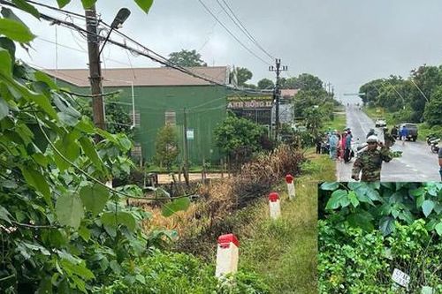 Điều tra nguyên nhân hai thanh niên tử vong cạnh chiếc xe máy