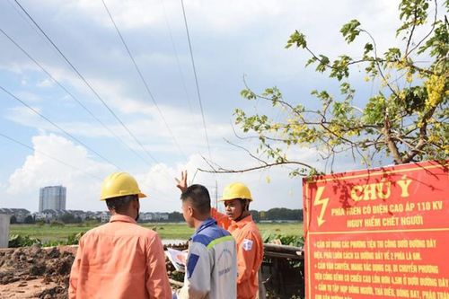 Thanh Hóa triển khai thực hiện nghiêm túc các quy định về quản lý hành lang an toàn lưới điện cao áp
