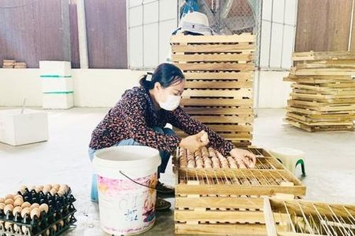 Đăng ký 'tên làng' làm thương hiệu: 'Tấm áo giáp' pháp lý cho nông sản Thủ đô