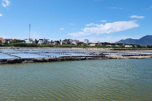Ngành thủy sản vào 'cuộc đua' xanh hóa