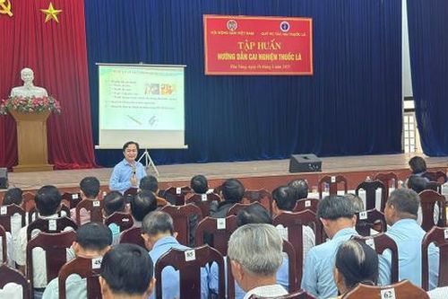 Đà Nẵng nâng cao kiến thức phòng, chống tác hại của thuốc lá cho người dân